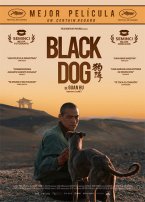 Black Dog