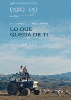Irish Film Festival: Dreamtown (V.O.S.E.)